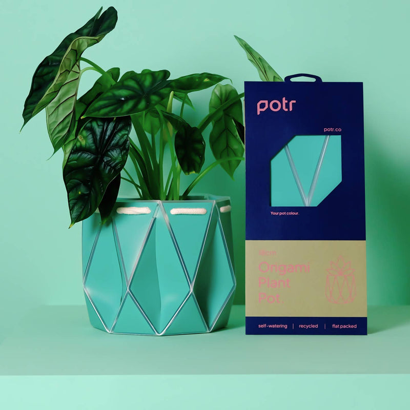 Origami plant pot (aqua) - 3 sizes available