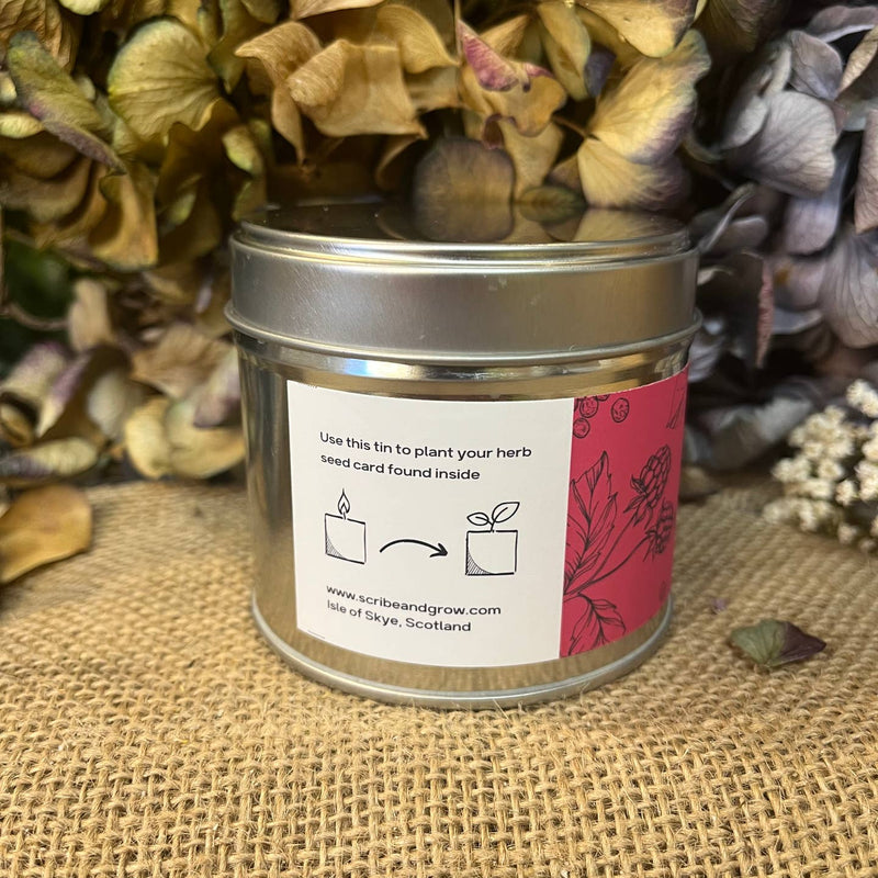 Grow candle - Raspberry & Peppercorn