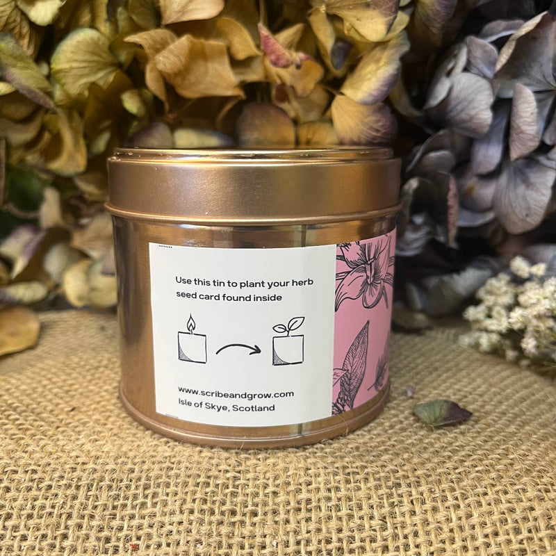 Grow candle - Fairy Glen