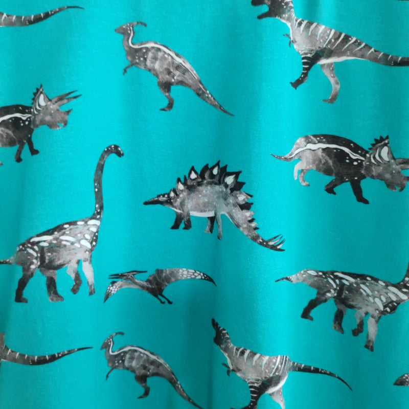 Long sleeved baby/child t-shirt dinosaur print ( 2-3 years)