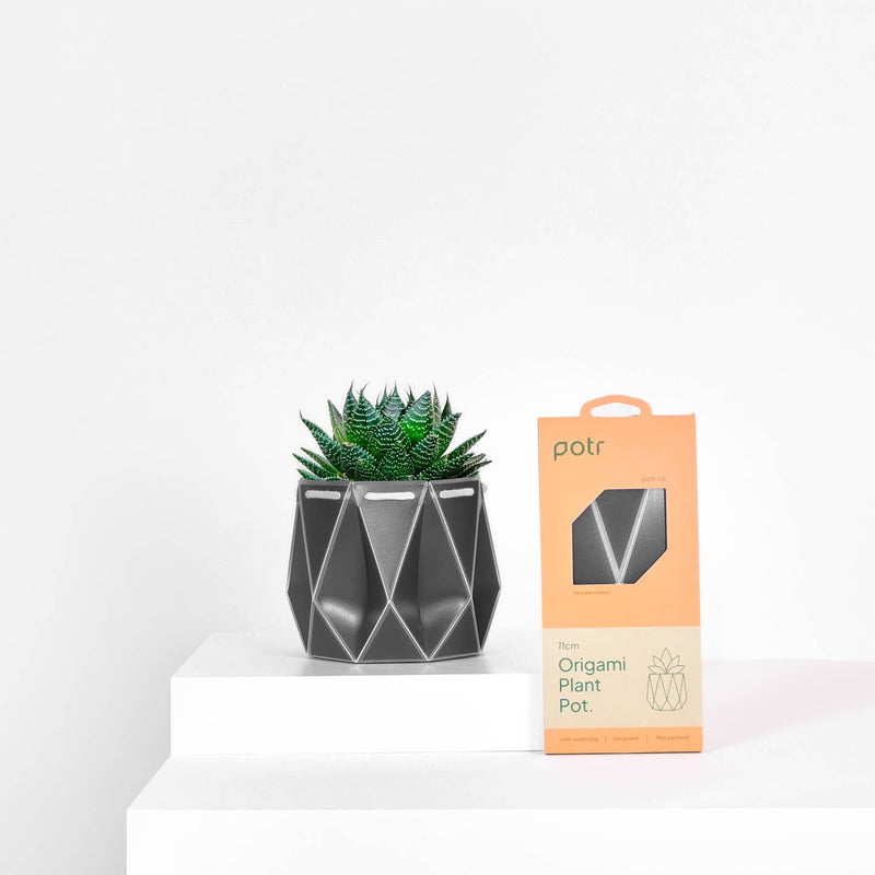 Origami plant pot (slate grey) - 3 sizes available