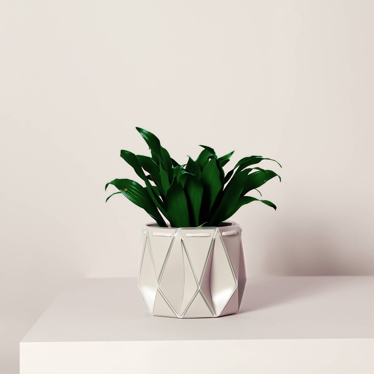 origami plant pot Self-Watering Origami Plant Pot (Cream) - 3 Sizes | POTR