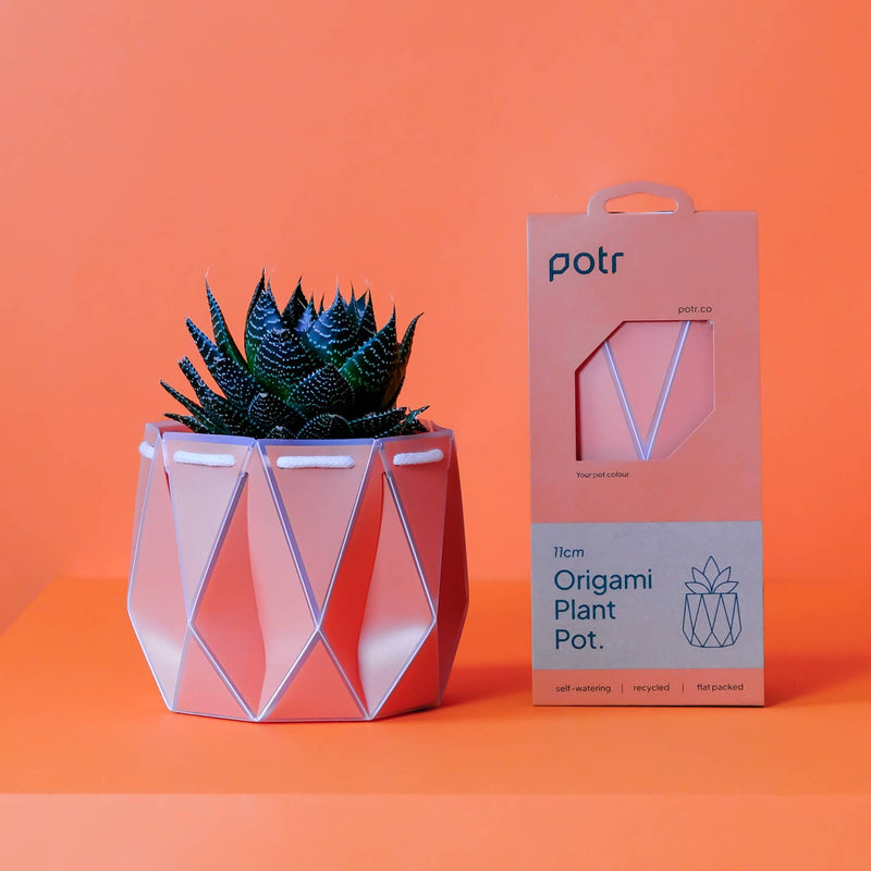 Origami plant pot (coral) - 3 sizes available