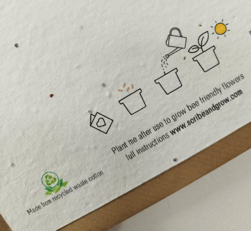 Plantable welcome baby card