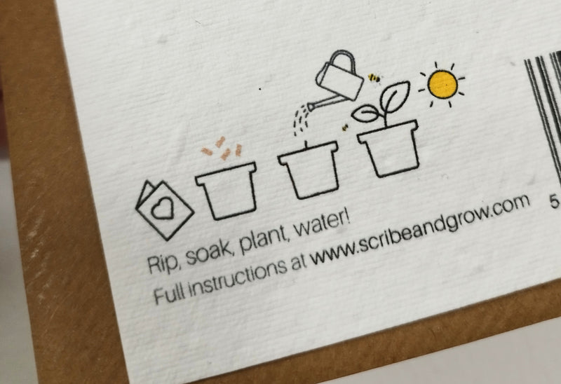 Plantable thinking of you card