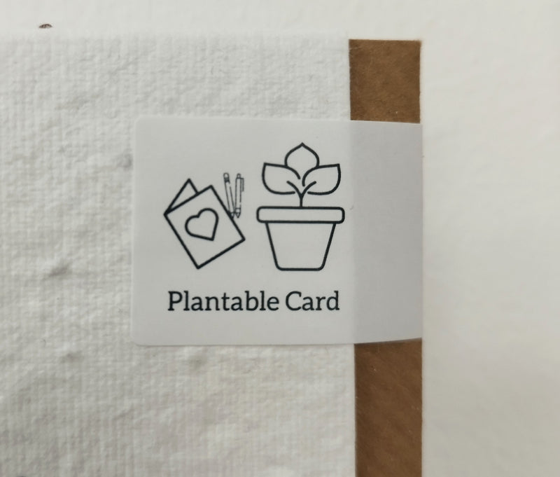 Plantable A Special Day card