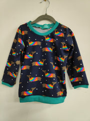 Long sleeved child t-shirt - dachshunds with rainbow jumper (3-4 years)