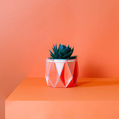 Origami plant pot (coral) - 3 sizes available