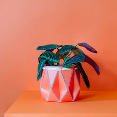 Origami plant pot (coral) - 3 sizes available