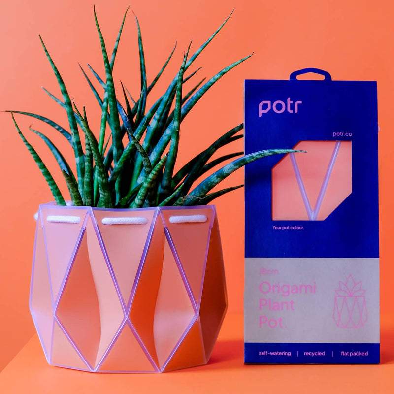 folded paper plant pots Origami plant pot (coral) - 3 sizes available