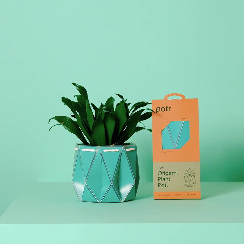 Origami plant pot (aqua) - 3 sizes available