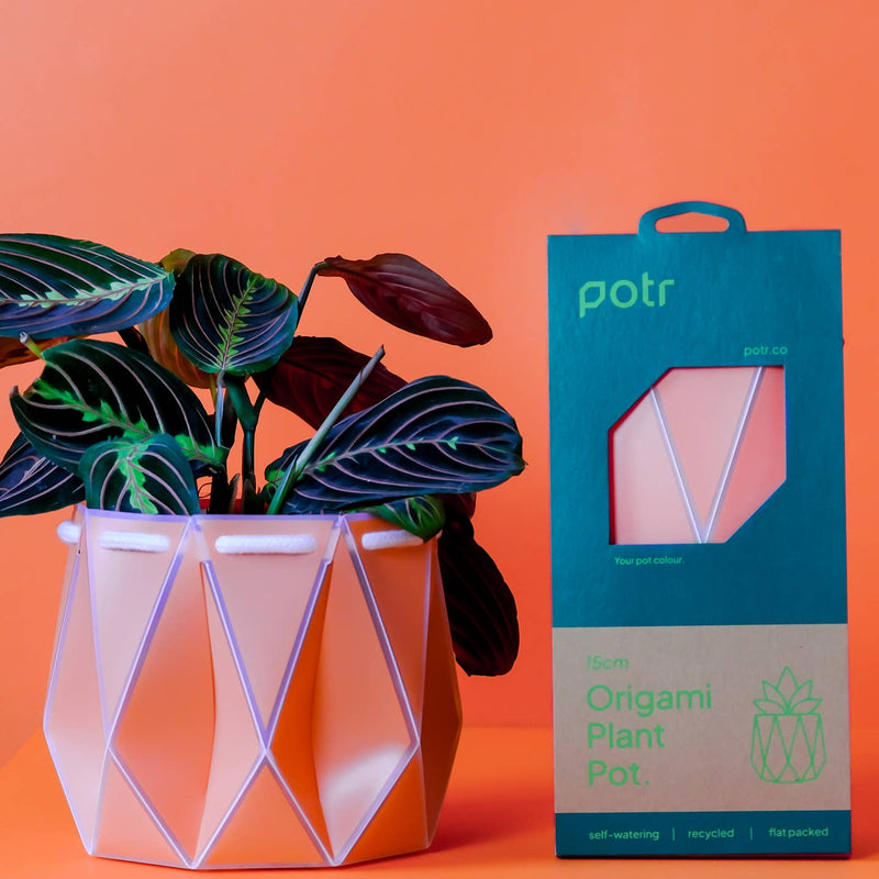 origami plant pot instructions Origami plant pot (coral) - 3 sizes available