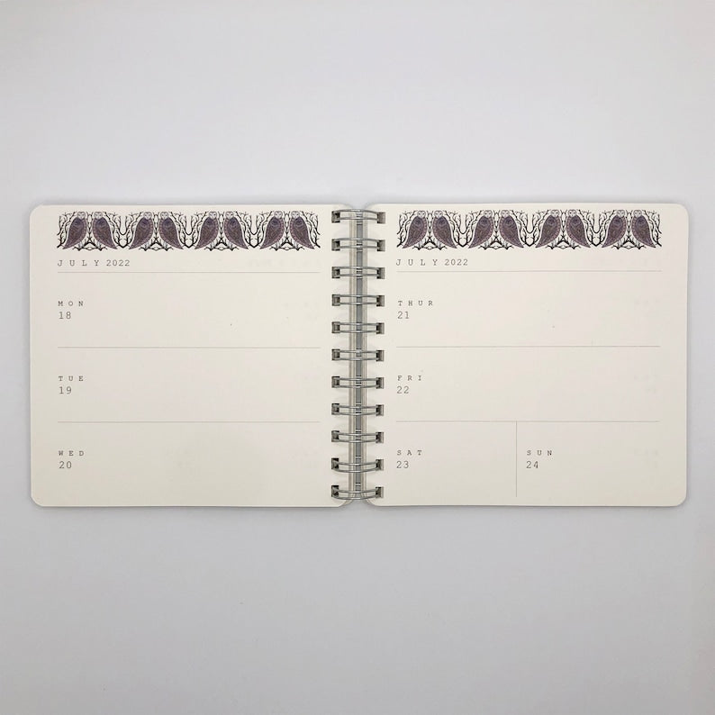 2026 illustrated Starry Owls diary