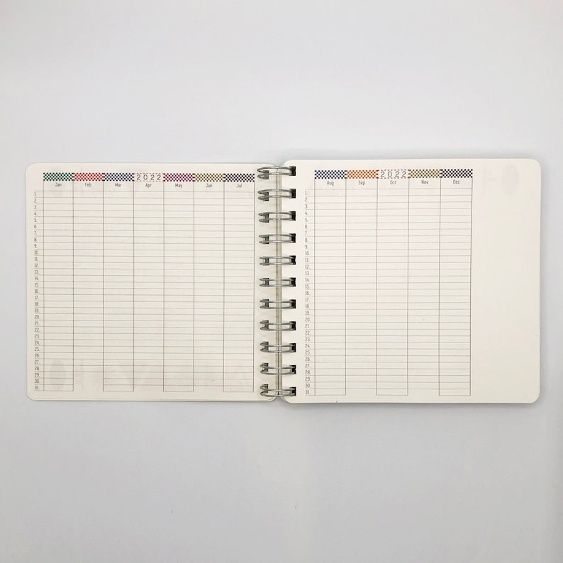 2026 illustrated Starry Owls diary