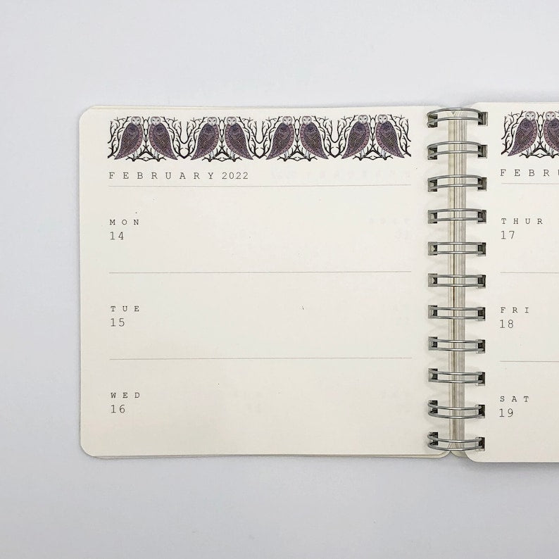 2026 illustrated Starry Owls diary