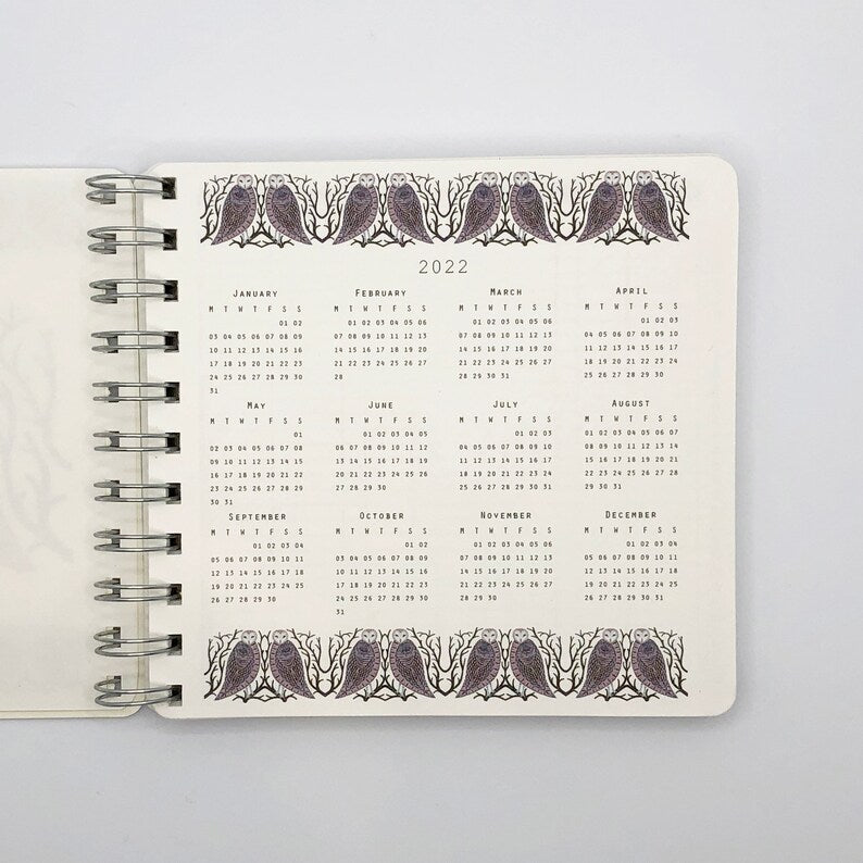 2026 illustrated Starry Owls diary