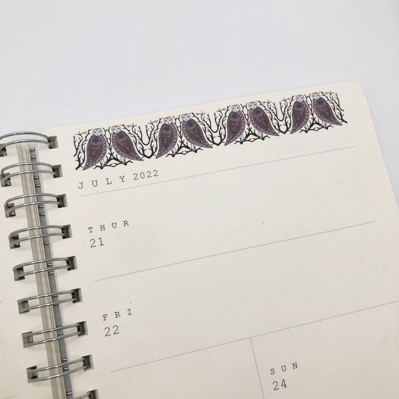 2026 illustrated Starry Owls diary