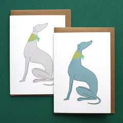 Sighthound with bandana card