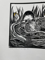Eider Duck, Isle of Eigg limited edition lino print