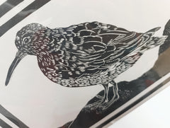 Purple Sandpiper original lino print