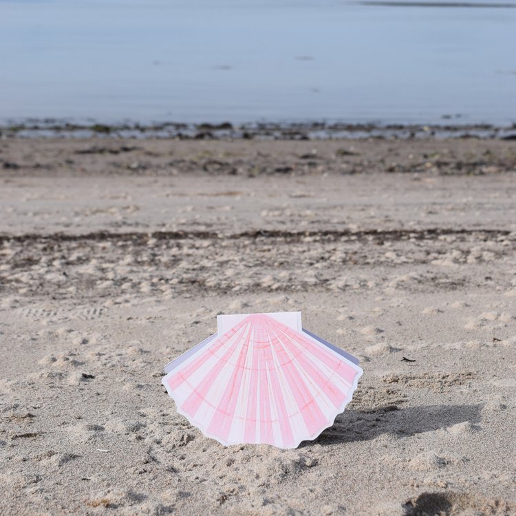 Scallop Shell card