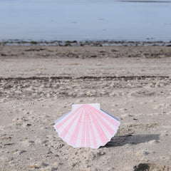 Scallop Shell card