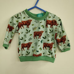 Long sleeved baby/child t-shirt - Highland Cows on mint background (0-6 months or 6-12 months)