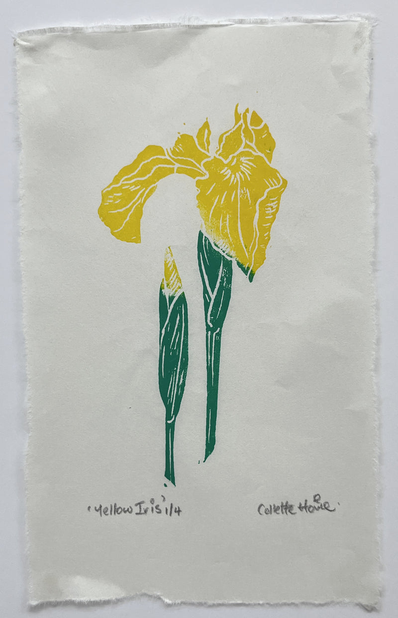 'Yellow Iris' lino print
