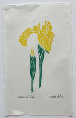 'Yellow Iris' lino print