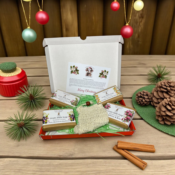 Goats Milk Soap Christmas 4 Bar Gift Set - different scents available