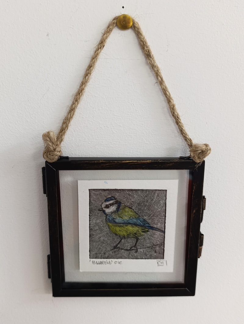 Mini framed Blue Tit drypoint print