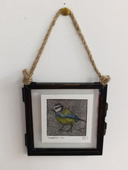 Mini framed Blue Tit drypoint print