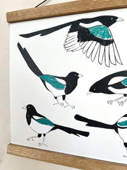 Magpies A3 Print