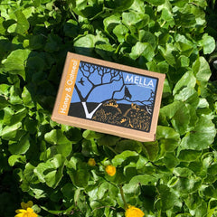 Honey and Oatmeal Handmade Soap