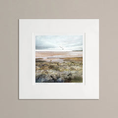 Tayport Saltmarsh mounted print