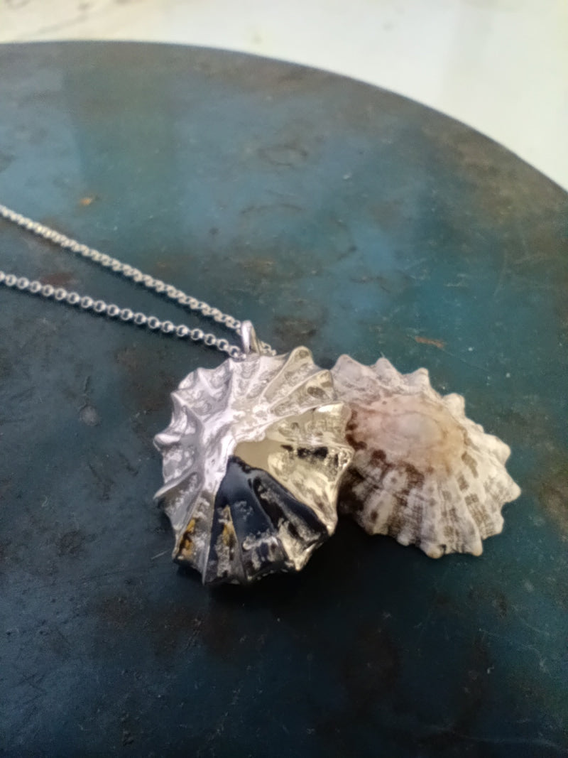 Sterling silver sand cast limpet shell necklace