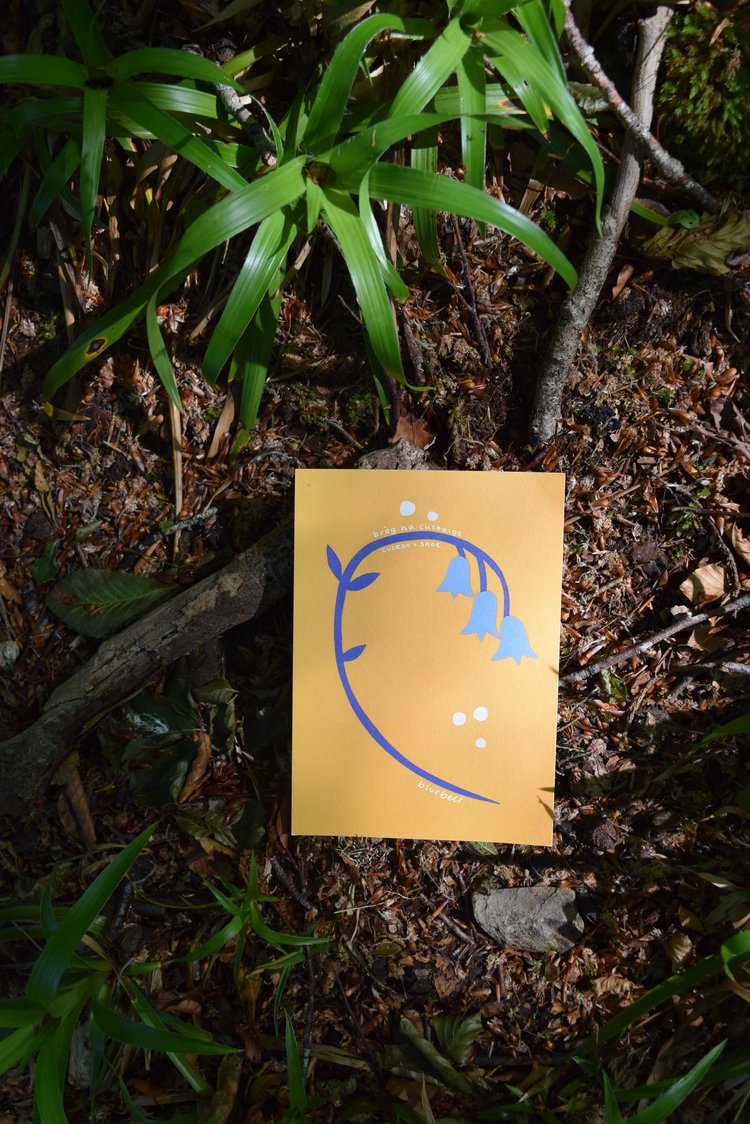 Bluebell A5 print