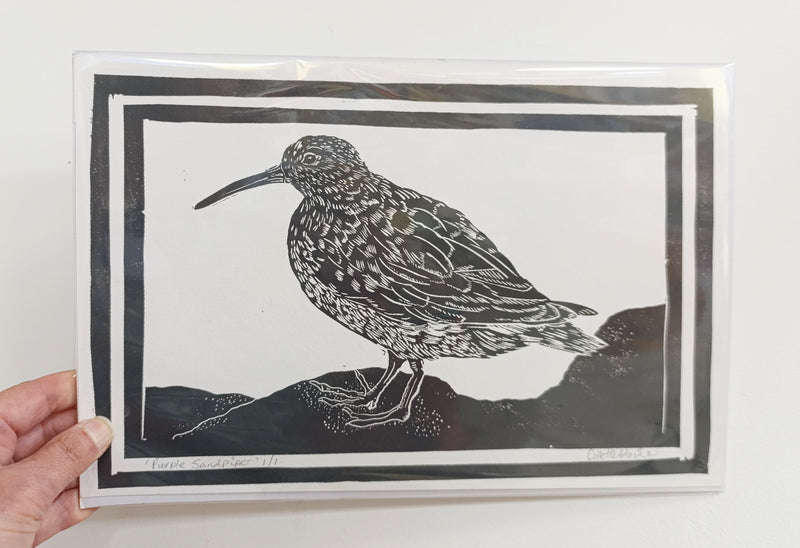 Purple Sandpiper original lino print