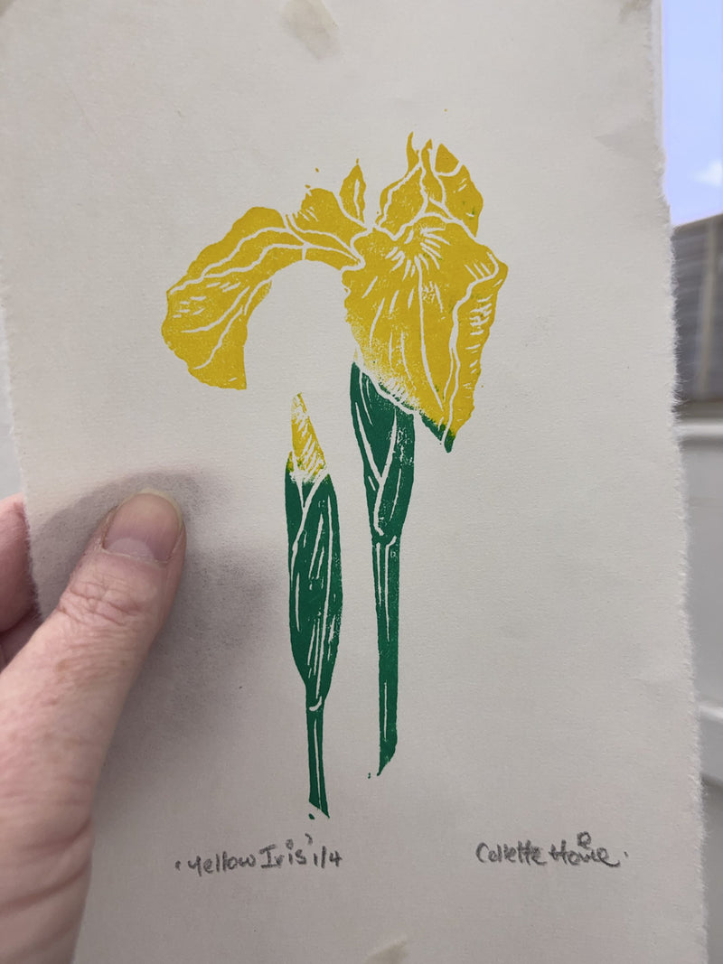 'Yellow Iris' lino print