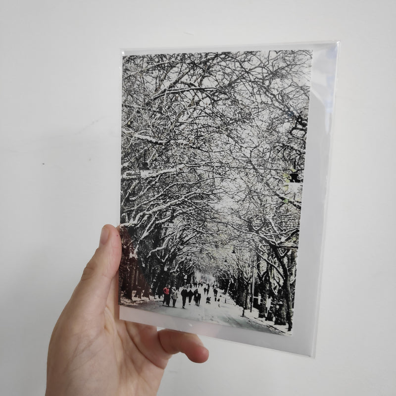 Tree-lined Kelvin Way card