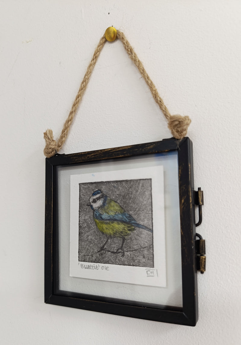 Mini framed Blue Tit drypoint print