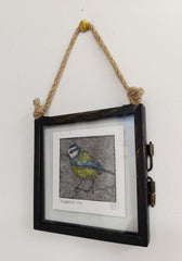 Mini framed Blue Tit drypoint print