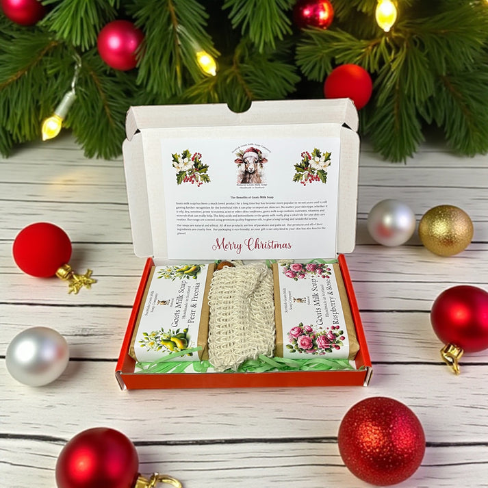 Goats Milk Soap Christmas 2 Bar Gift Set - different scents available