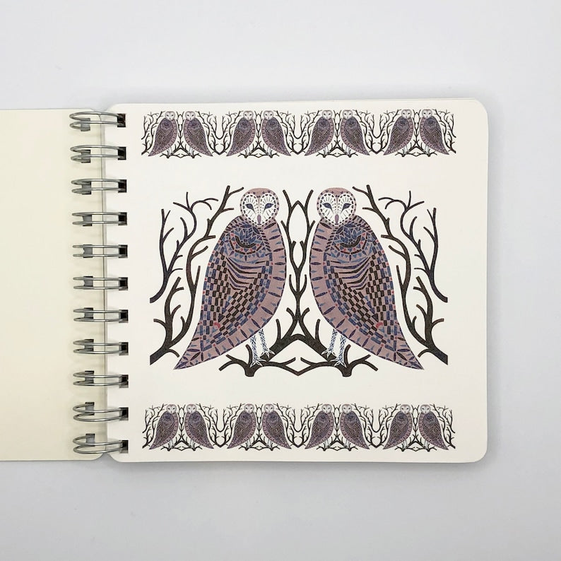 2026 illustrated Starry Owls diary