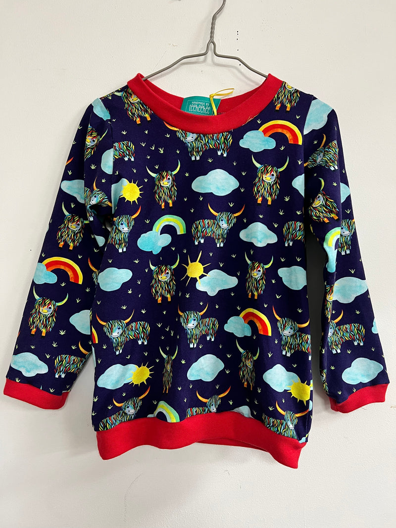 Long sleeved baby/child t-shirt - Highland Cows with rainbows and clouds, red trim (3-4 years)