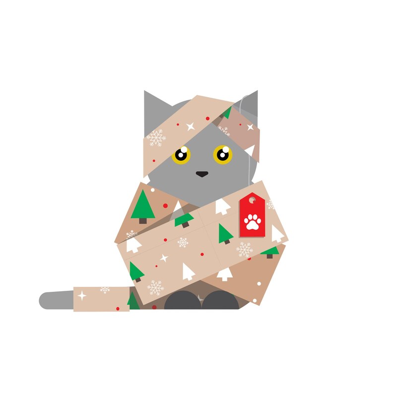 Merry Christmas cat in wrapping paper