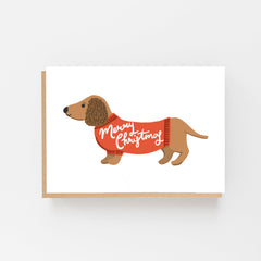 Dachshund with Merry Christmas jumper