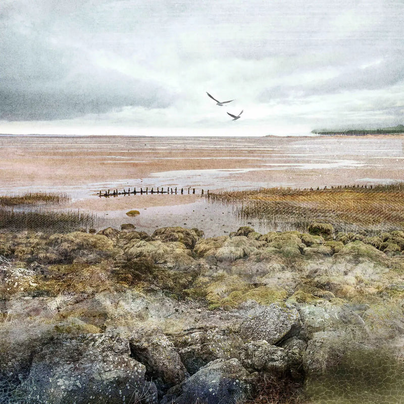 Tayport Saltmarsh mounted print