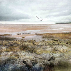 Tayport Saltmarsh mounted print