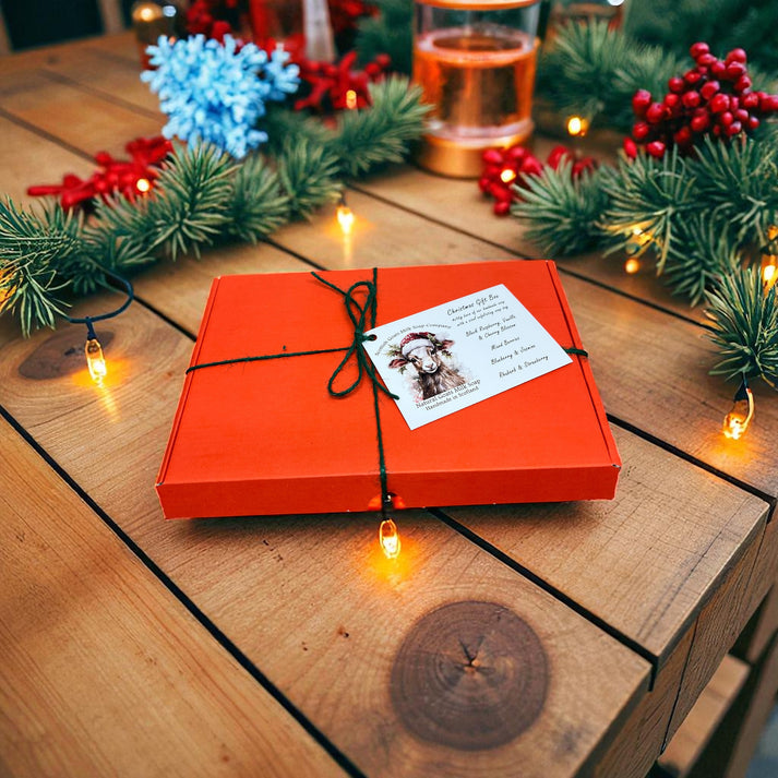 Goats Milk Soap Christmas 4 Bar Gift Set - different scents available